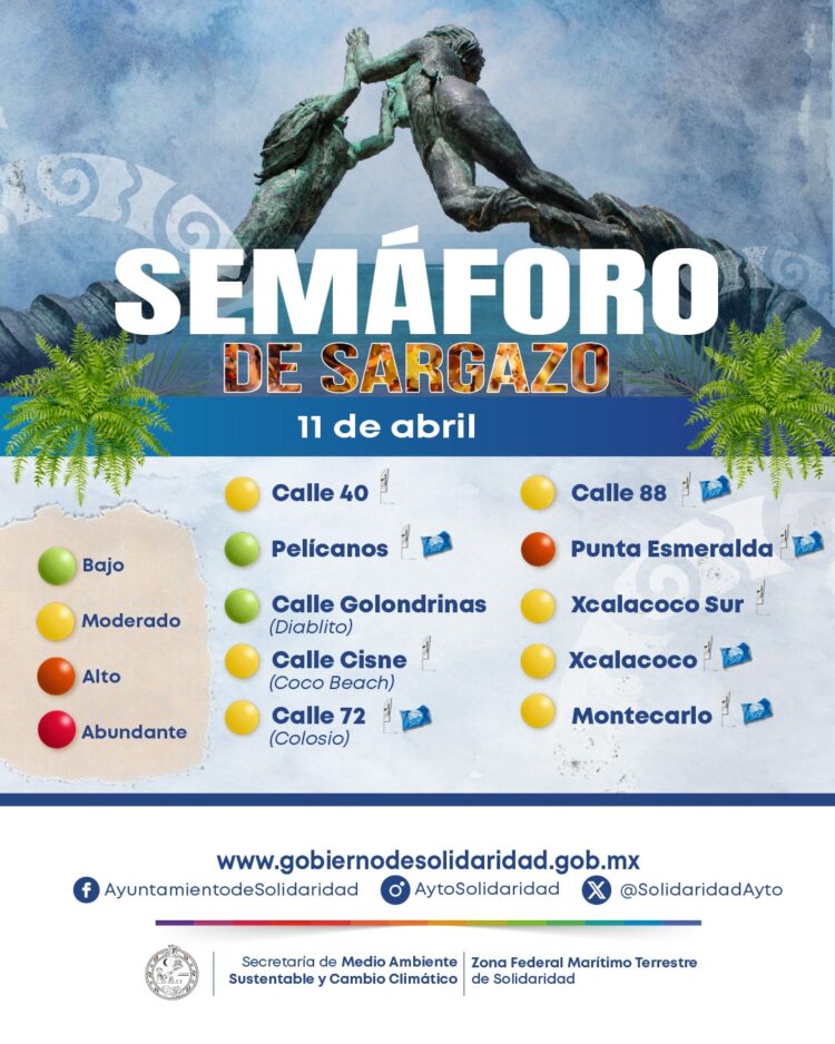 Conoce y consulta el semáforo de sargazo en Playa del Carmen
