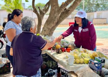 Impulsa Mildred Ávila con Claudia Sheinbaum acciones para fortalecer búsqueda de personas