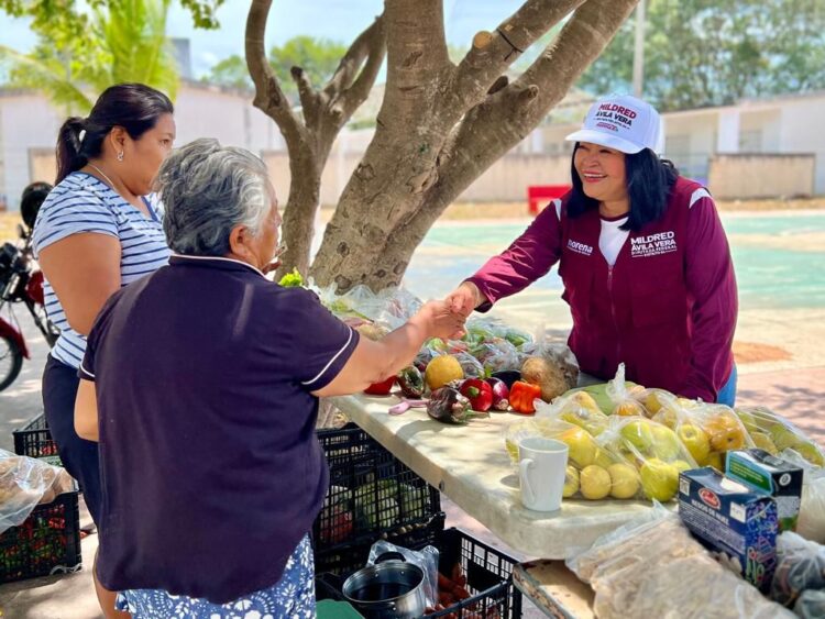 Impulsa Mildred Ávila con Claudia Sheinbaum acciones para fortalecer búsqueda de personas