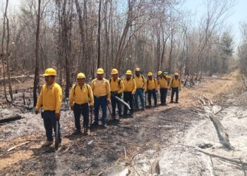 Trabajan de manera coordinada en Quintana Roo para el combate de incendios forestales