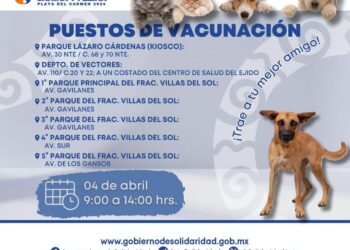 Mascotas en Playa del Carmen, aún con tiempo para recibir vacunas