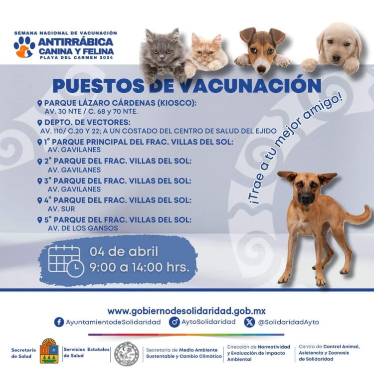 Mascotas en Playa del Carmen, aún con tiempo para recibir vacunas