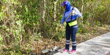 Invitan a no crear tiraderos y reportarlos en Playa del Carmen