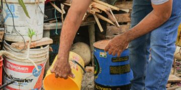 Mantener limpio el patio es la mejor estrategia contra el dengue, señala la SESA