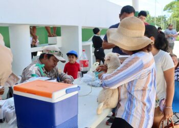 Superó Puerto Morelos meta de vacunación antirrabica