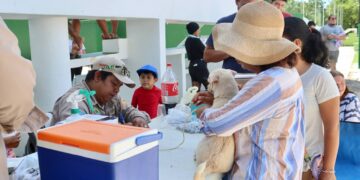 Superó Puerto Morelos meta de vacunación antirrabica