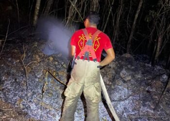 Logran sofocar incendio forestal en Puerto Morelos