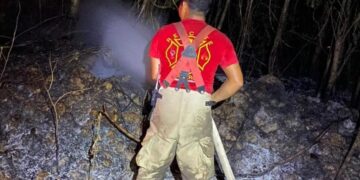 Logran sofocar incendio forestal en Puerto Morelos