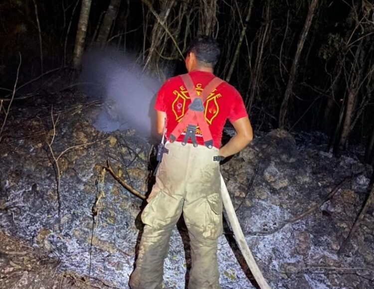 Logran sofocar incendio forestal en Puerto Morelos