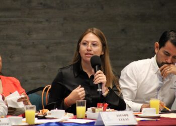 Será Mafer Baeza una aliada de los náuticos de Quintana Roo en el Congreso de la Unión