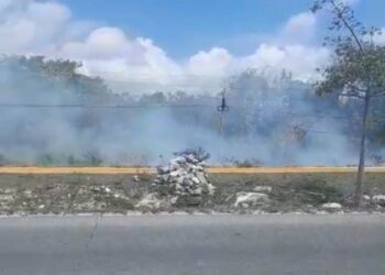 Hasta ahora, Solidaridad permanece sin incendios