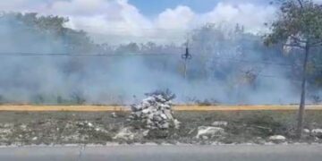 Hasta ahora, Solidaridad permanece sin incendios