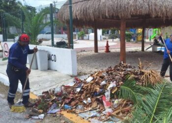 Solidaridad invita a hacer reportes para optimizar la limpieza de parques y jardines