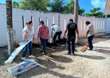 Instalan Huercos Escolares en Puerto Morelos