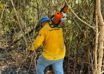 Combaten incendio forestal al suroeste de Puerto Morelos