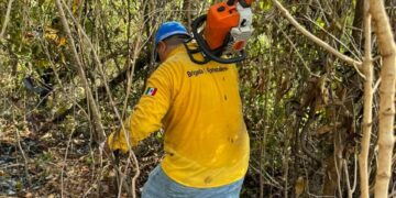 Combaten incendio forestal al suroeste de Puerto Morelos