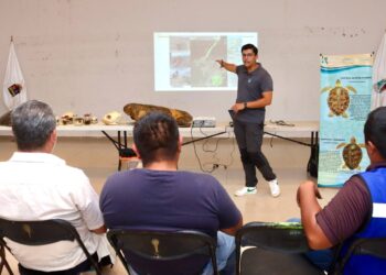 Imparten plática sobre protección a la tortuga marina en Puerto Morelos