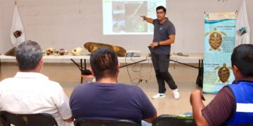Imparten plática sobre protección a la tortuga marina en Puerto Morelos