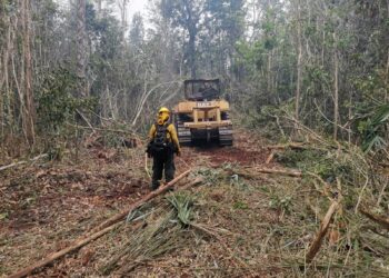 Coordinan esfuerzos para el combate de incendios forestales en Quintana Roo