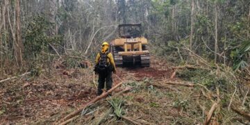 Coordinan esfuerzos para el combate de incendios forestales en Quintana Roo