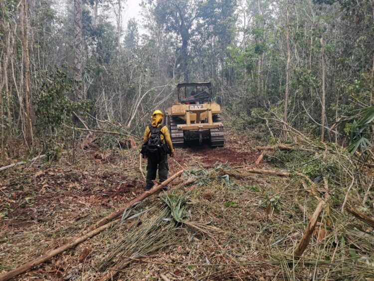 Coordinan esfuerzos para el combate de incendios forestales en Quintana Roo