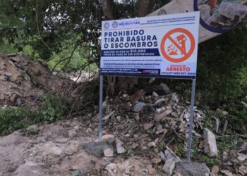 Continúa la eliminación de tiraderos al aire libre en Playa del Carmen