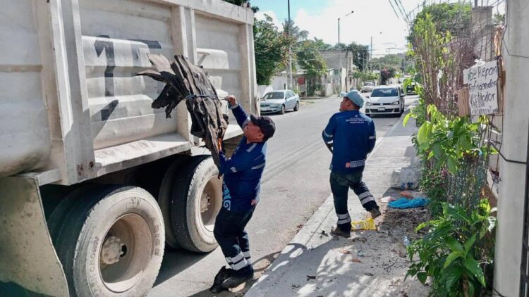 Realizan campaña de descacharrización en Villamar, Cataluña y la Toscana