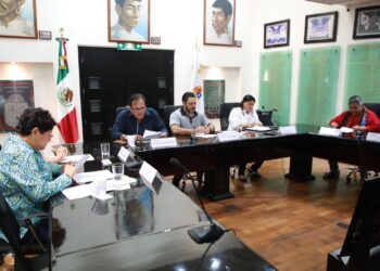 Proponen reformas para inculcar en infancias el respeto al medio ambiente