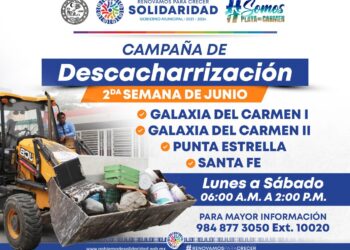 Conoce el calendario de descacharrización en Playa del Carmen