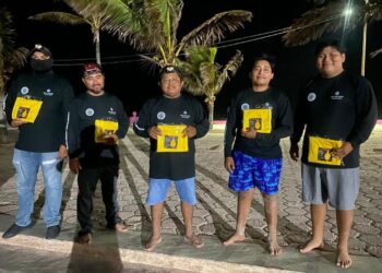 Protege gobierno de Isla Mujeres a tortugas marinas a través del Campamento Tortuguero