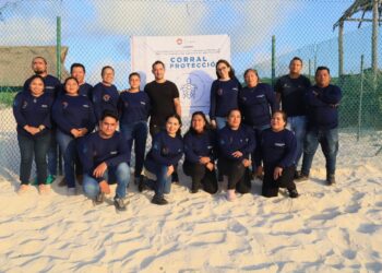 Gobierno de Benito Juárez prioriza protección y conservación de las tortugas marinas