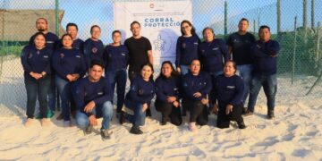 Gobierno de Benito Juárez prioriza protección y conservación de las tortugas marinas