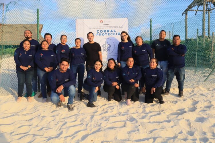 Gobierno de Benito Juárez prioriza protección y conservación de las tortugas marinas