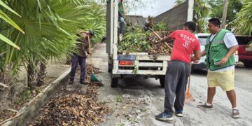 Continúan intensas labores de limpieza de alcantarillas en Puerto Morelos