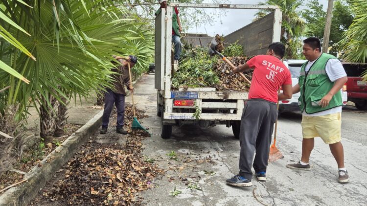 Continúan intensas labores de limpieza de alcantarillas en Puerto Morelos