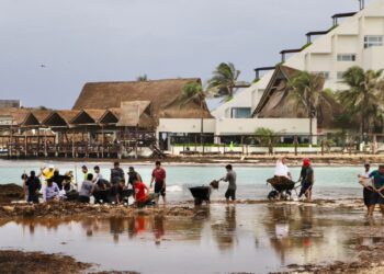 Gobierno de Isla Mujeres no baja la guardia ante recale atípico de sargazo en Playa Norte