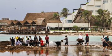 Gobierno de Isla Mujeres no baja la guardia ante recale atípico de sargazo en Playa Norte
