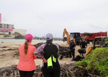Retira gobierno de Isla Mujeres en tiempo récord más de 500 toneladas de sargazo de Playa Norte