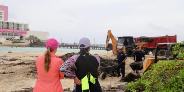 Retira gobierno de Isla Mujeres en tiempo récord más de 500 toneladas de sargazo de Playa Norte