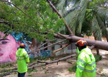 En Solidaridad reforzamos operativos de limpieza por lluvias, señala Lili Campos