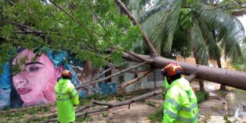 En Solidaridad reforzamos operativos de limpieza por lluvias, señala Lili Campos