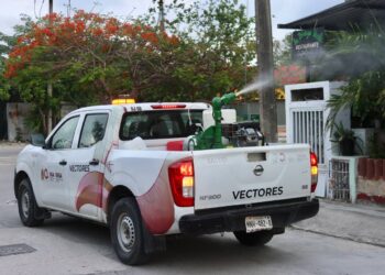 Intensifican en Puerto Morelos fumigaciones para combatir proliferación de mosquitos
