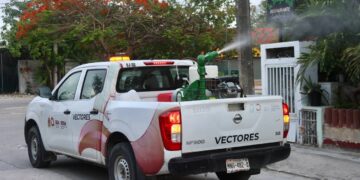 Intensifican en Puerto Morelos fumigaciones para combatir proliferación de mosquitos