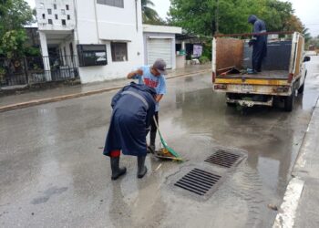 Refuerza Servicios Públicos limpieza de alcantarillas en Puerto Morelos