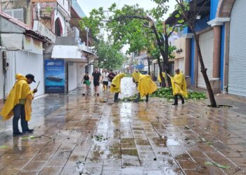 Playa del Carmen registra saldo blanco tras el paso de Beryl