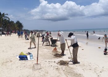 La solidaridad presente luego del huracán Beryl