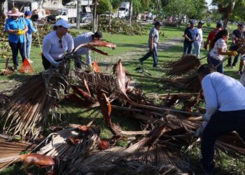 Organizan en Puerto Morelos mega jornada de limpieza luego del paso del huracán “Beryl”
