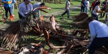 Organizan en Puerto Morelos mega jornada de limpieza luego del paso del huracán “Beryl”