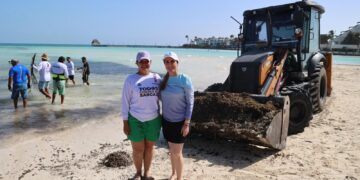 Redoblan esfuerzos para atender recale atípico de sargazo en Isla Mujeres