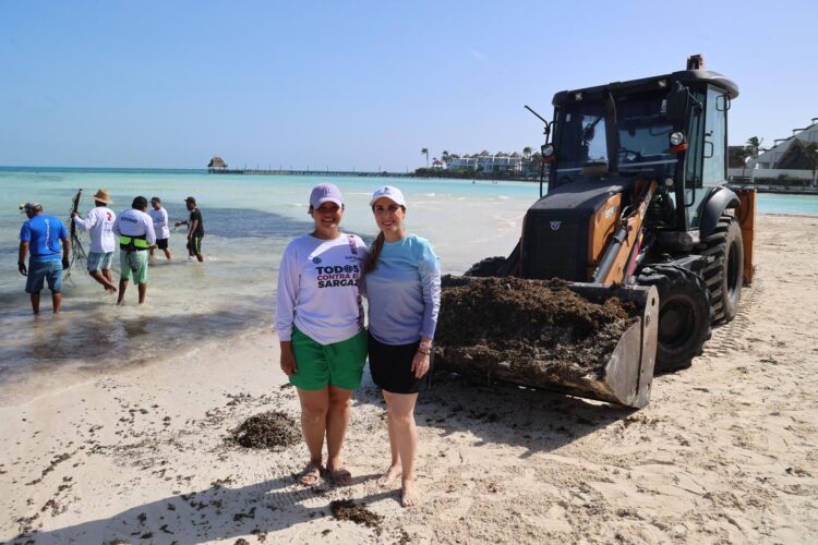 Redoblan esfuerzos para atender recale atípico de sargazo en Isla Mujeres